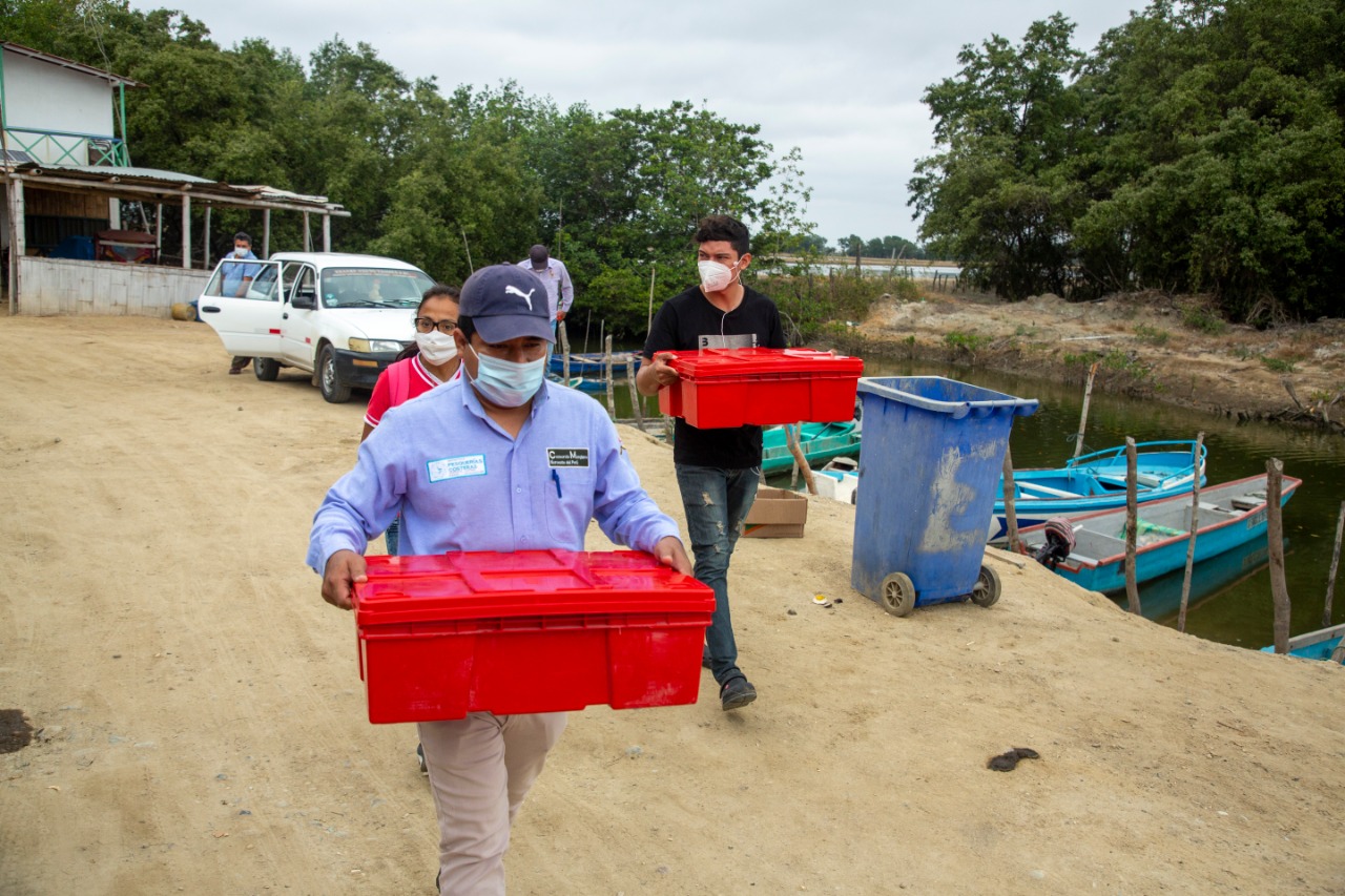 110 mil Conchas Negras producidas en laboratorio, son llevadas al Santuario Nacional Los Manglares de Tumbes para la fase de adaptación.